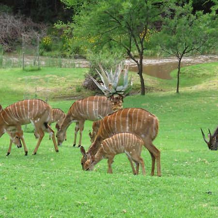 Wildehondekloof Game Lodge Matjiesrivier  Exterior photo