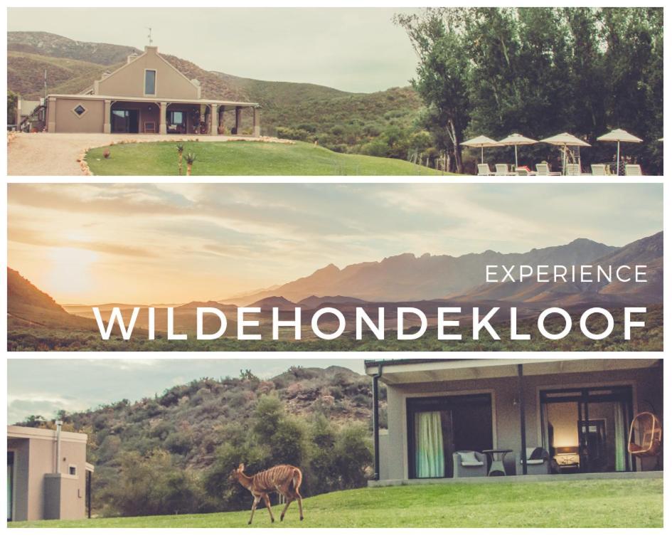 Wildehondekloof Game Lodge Matjiesrivier  Exterior photo