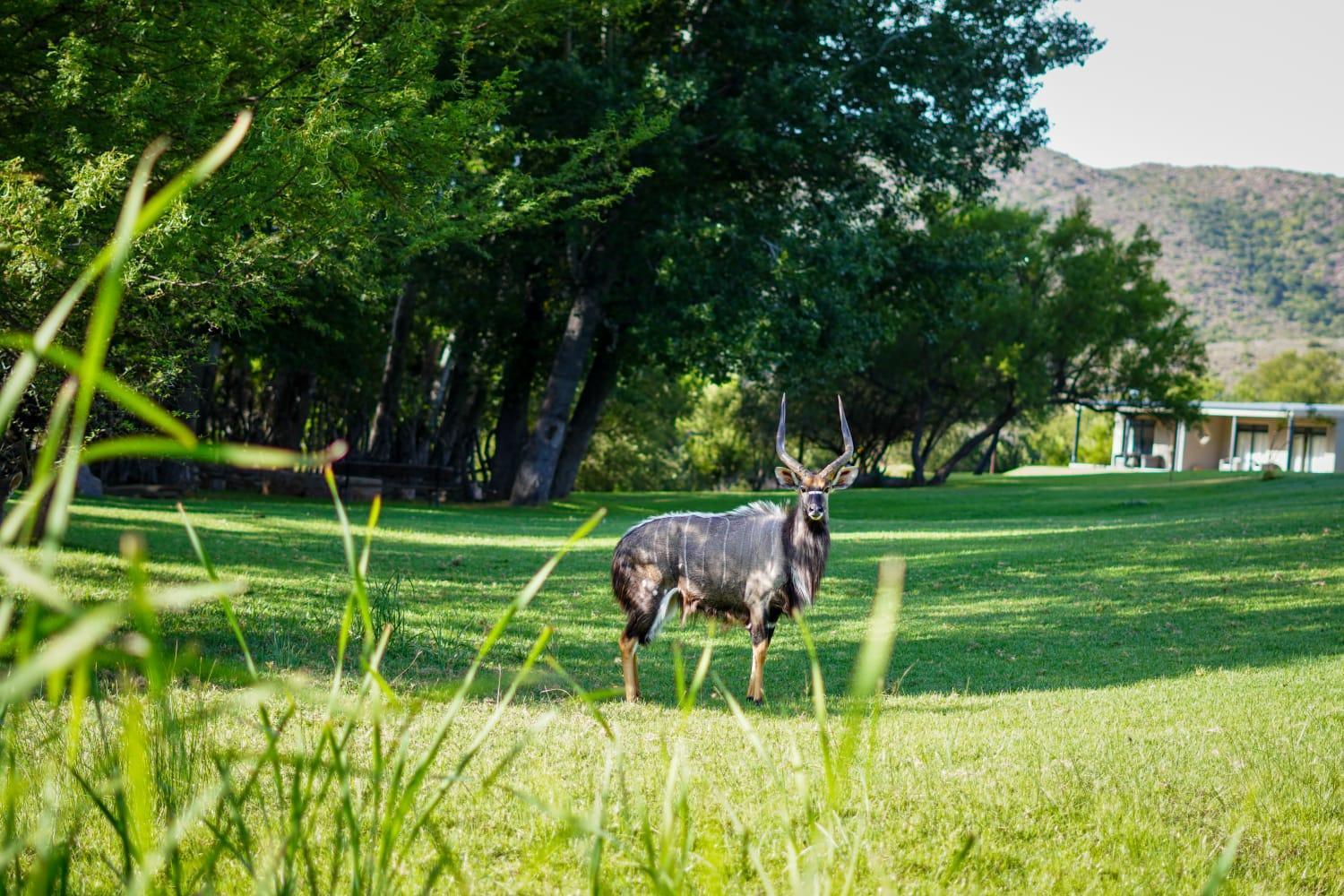 Wildehondekloof Game Lodge Matjiesrivier  Exterior photo